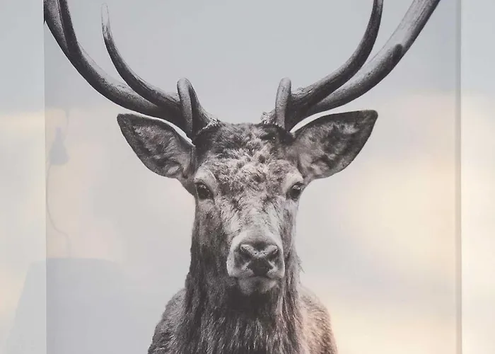 Kleine Fluchten * Sankt Andreasberg